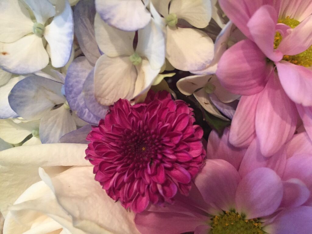 Floral palette