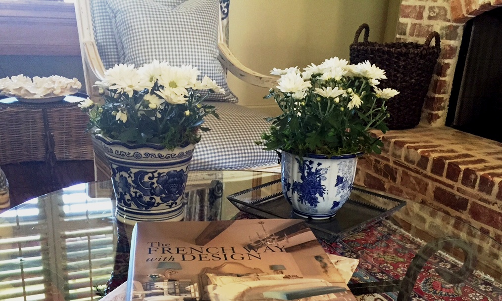 mums blue and white pots