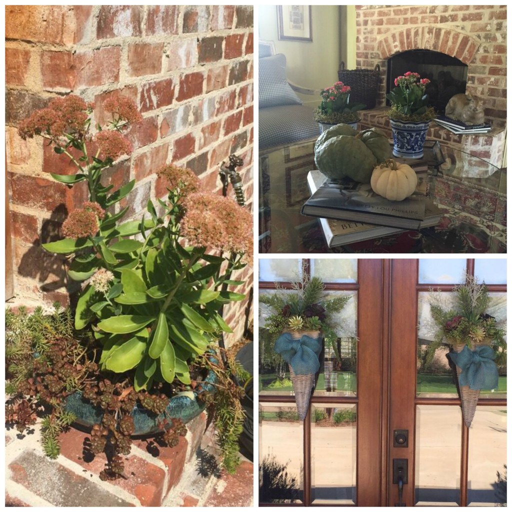 Fall Collage - three