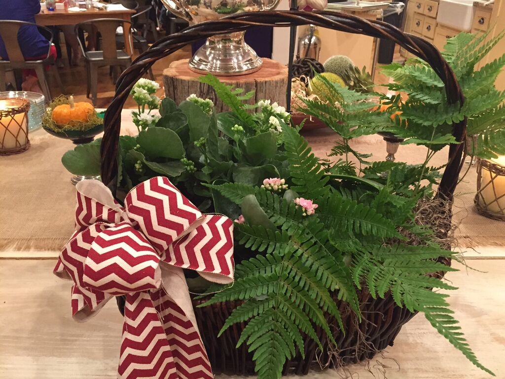 Fern and Sedum in Basket