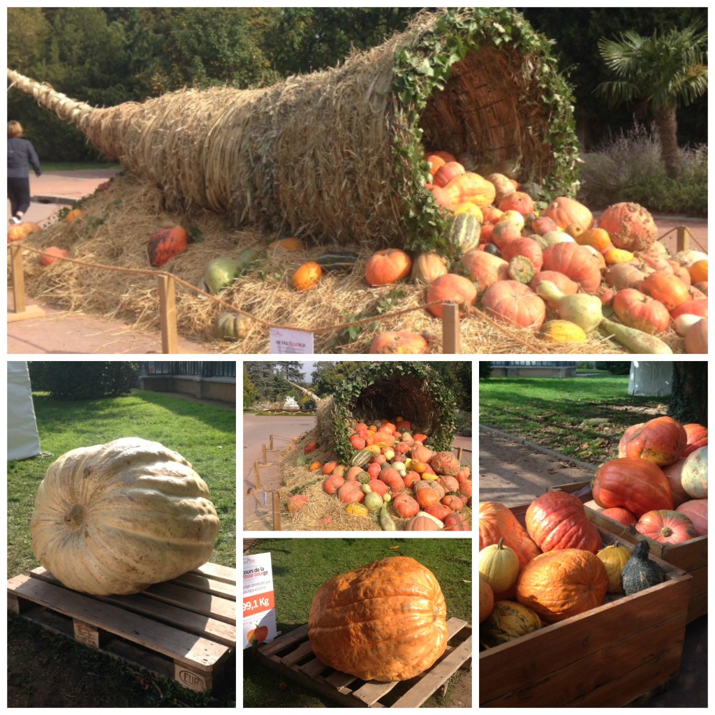 Pumpkin Festival Collage