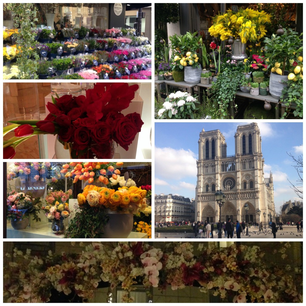 Collage Notre Dame