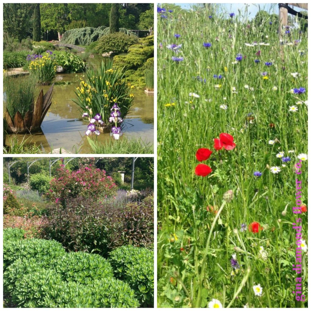 Wildflower Pond wm