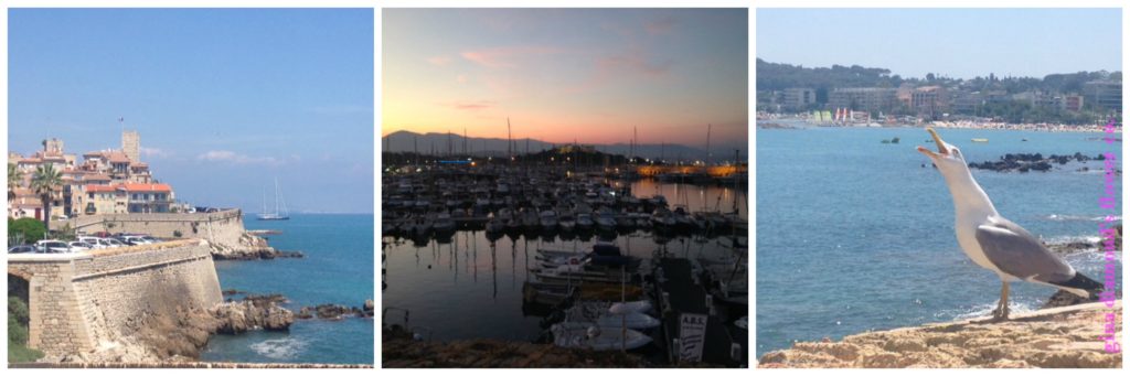 cap antibes and port wm