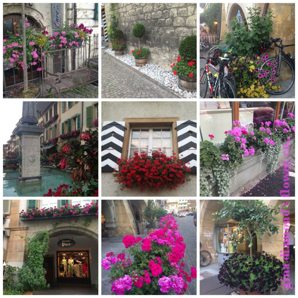 Flower Town, Murten, Switerzland