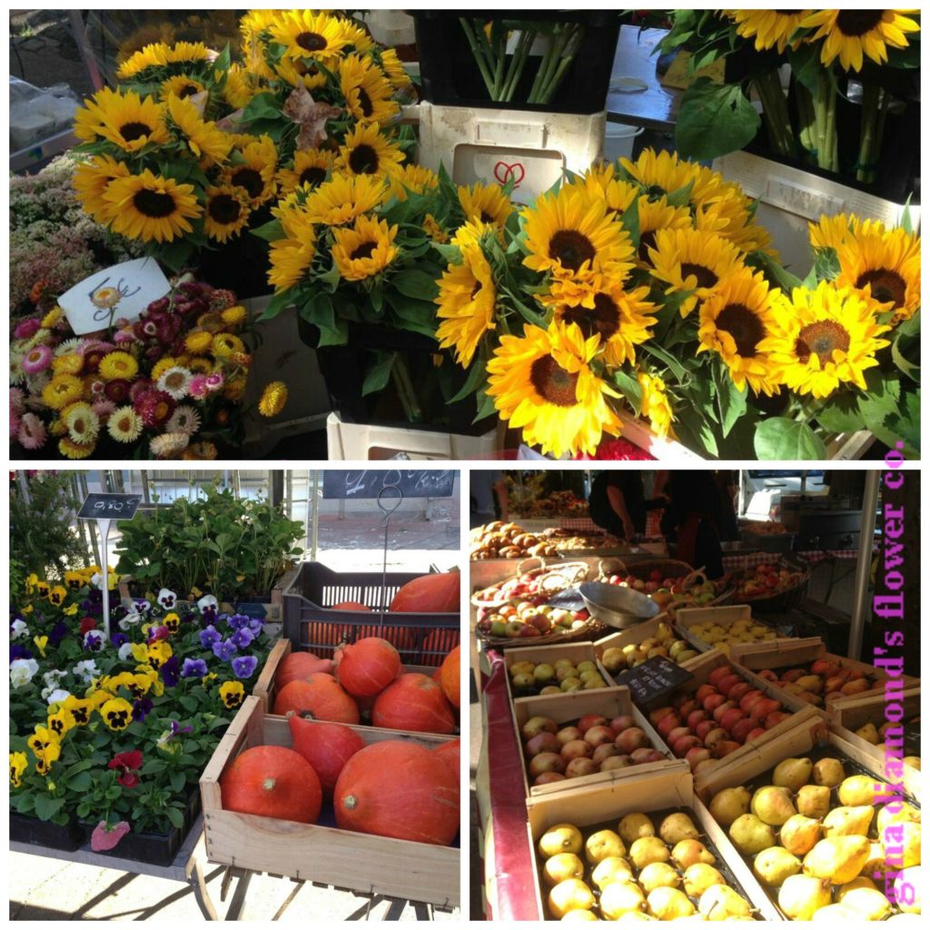 sunflowers-pumpkins-and-apples-wm