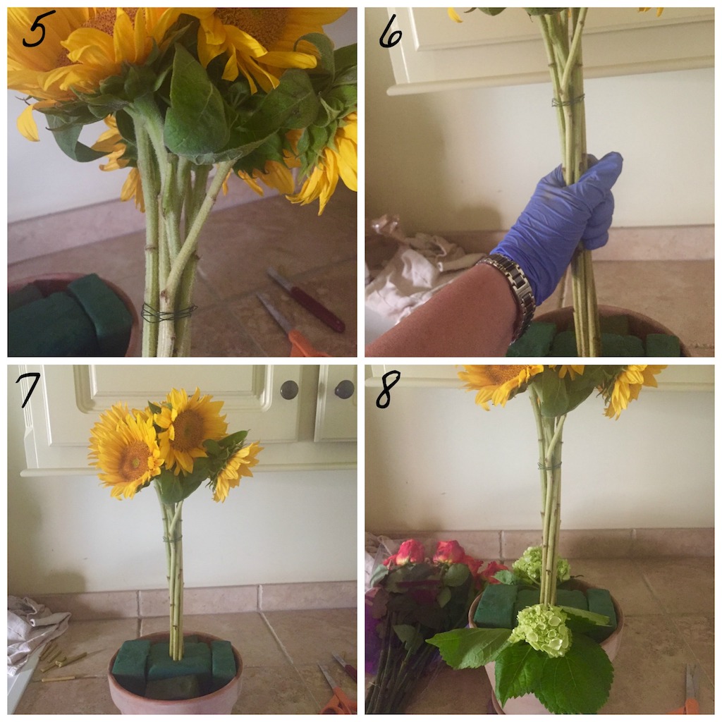 sunflower topiary 5 -8